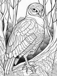 Turkey and Owl Coloring Pages - Turkey and Owl in Autumn Woods  minimal black outline printable sheet, coloring page