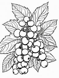 Fruit Coloring Pages - Huckleberries in a cluster  simple coloring pages