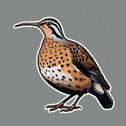 American Woodcock Sticker - An American woodcock with a long bill and mottled plumage, ,vector color sticker art,minimal