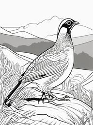 Grouse Coloring Pages - Ground Dwelling Bird  minimal black outline printable sheet, coloring page