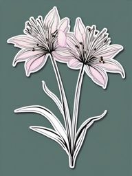 Spider Lily Sticker - Capture the unique and spider-like blooms of spider lilies with this elegant sticker, , sticker vector art, minimalist design