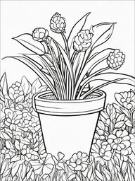 Plant Coloring Pages - Plant with seeds  simple coloring pages