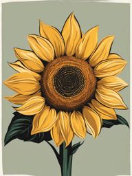 sunflower clipart - facing the sun with golden petals. 