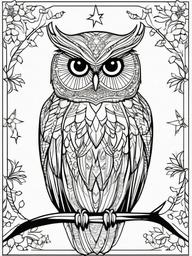 Owl Coloring Pages - Owl with sparkling stars and moonlight  simple coloring pages