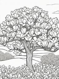 Magnolia coloring page sheet - A magnolia tree in full bloom on a warm spring day.  black outline printable coloring page