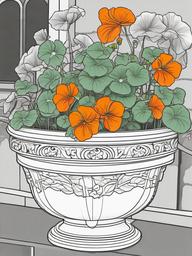 Nasturtium coloring page sheet - Nasturtiums trailing over the edge of a garden planter.  black outline printable coloring page