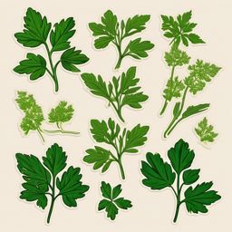 Chervil Sticker - Elevate your dishes with the delicate and mild anise-like flavor of chervil, , sticker vector art, minimalist design