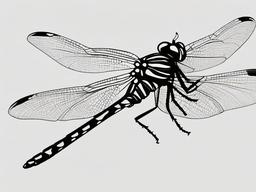 sketch of dragonfly  minimal rough sketch scribbles,doodles,black and white