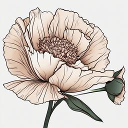 Carnation Flower Drawing Tattoo,Artistic side revealed in a carnation flower drawing tattoo, a beautiful and expressive choice.  simple color tattoo,minimal vector art,white background