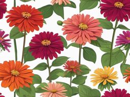 Zinnia Clip Art - Colorful zinnias in a vibrant garden setting,  color vector clipart, minimal style