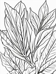 Vegetable Coloring Pages - Bay leaves in a bunch  simple coloring pages