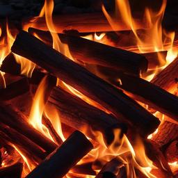 Fire Wallpaper - Intense campfire with glowing embers  background wallpaper