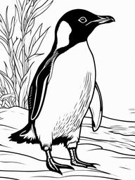 Penguin Coloring Page - Cute Bird Waddling  black outline printable coloring page