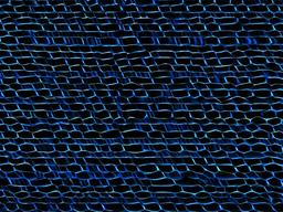 Black And Blue Wallpaper Hd  ,desktop background wallpaper