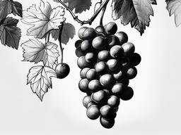 sketch of grapes  minimal rough sketch scribbles,doodles,black and white