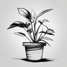 sketch of a plant  minimal rough sketch scribbles,doodles,black and white