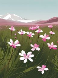 Tundra Moss Campion Clip Art - Moss campion blooms in the tundra,  color vector clipart, minimal style