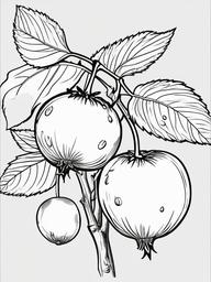 Fruit Coloring Pages - Medlar fruit with rough skin  simple coloring pages