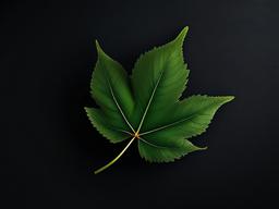 Dark Leaf Background  ,desktop background wallpaper