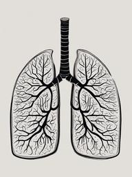 drawing of the lungs  minimal rough scribbles,doodles,black and white