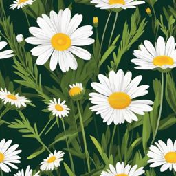 Alpine Daisy Clip Art - Alpine daisies in high-altitude meadows,  color vector clipart, minimal style