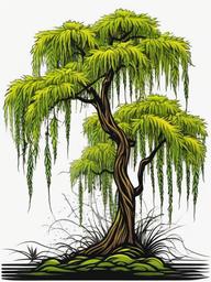 weeping willow tattoo  simple vector color tattoo