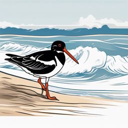 Oystercatcher Tattoo - Oystercatcher probing the shoreline for food  few color tattoo design, simple line art, design clean white background