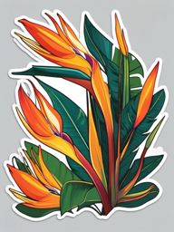Bird of Paradise Sticker - Transport yourself to tropical paradise with the exotic and bird-shaped blooms of bird of paradise, , sticker vector art, minimalist design