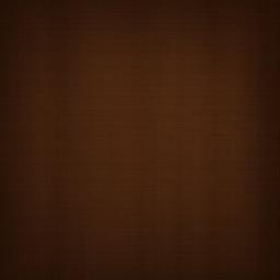 Brown Background Wallpaper - brown portrait background  