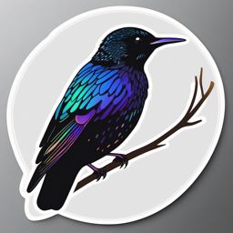 European Starling Sticker - A European starling with iridescent black plumage, ,vector color sticker art,minimal