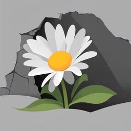 Daisy clipart - daisy growing through a crack in concrete  color,minimalist,vector clipart