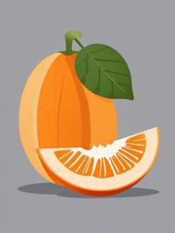 Cantaloupe Clipart - Sliced cantaloupe with its orange flesh.  color vector clipart, minimal style