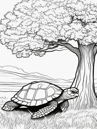 Turtle Coloring Pages - Turtle reading a book under a tree  simple coloring pages