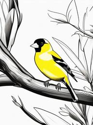 Goldfinch Coloring Pages - Bright Yellow Backyard Bird  minimal black outline printable sheet, coloring page