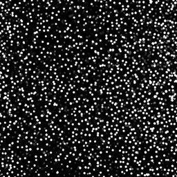 Glitter background - white sparkles black background  