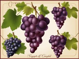 grapes clipart - bunches of grapes, ready for winemaking or snacking 