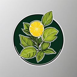 Bergamot Sticker - Enjoy the citrusy and aromatic essence of bergamot, commonly used in herbal teas, , sticker vector art, minimalist design