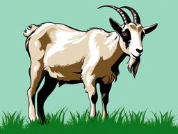 Goat clipart - goat eating grass  clipart