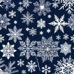 Snowflake Clipart, Unique and delicate snowflakes in winter. 