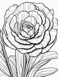 Vegetable Coloring Pages - Garlic scapes with curly tips  simple coloring pages