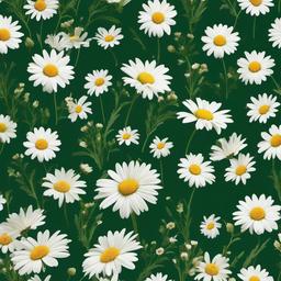 Flower Background Wallpaper - aesthetic green daisy wallpaper  