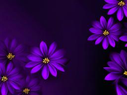 Dark Purple Flower Background  ,desktop background wallpaper