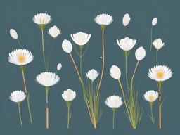 Tundra Cotton Grass Clip Art - Cotton grass blooms in the Arctic tundra,  color vector clipart, minimal style