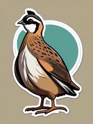 Quail cartoon - small, ground-dwelling bird with a topknot  cartoon sticker style