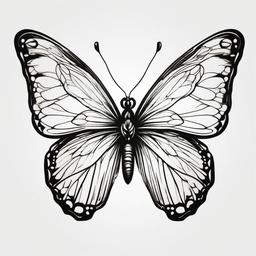 butterfly tattoo line drawing  simple color tattoo, minimal, white background