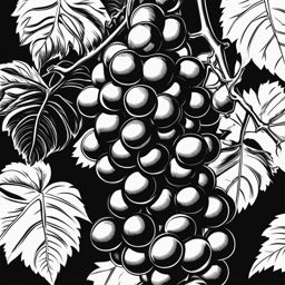 grapes clipart black and white 