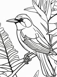 Honeycreeper Coloring Pages - Small Colorful Tropical Bird  minimal black outline printable sheet, coloring page