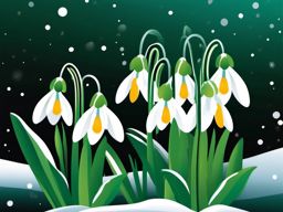 Snowdrop Clip Art - A cluster of snowdrop flowers in a snowy setting,  color vector clipart, minimal style