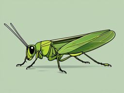 Grasshopper Nymph Clip Art - A young grasshopper in early stages,  color vector clipart, minimal style