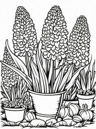 Hyacinth coloring page sheet - Colorful hyacinths blooming in a small garden patch.  black outline printable coloring page